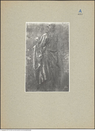 Vorderseite von bh105399_recto