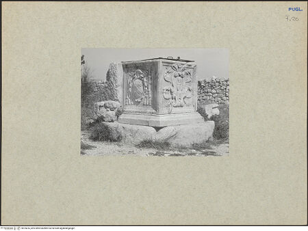 Vorderseite von Soergel, Gerda [https://www.deutsche-digitale-bibliothek.de/content/lizenzen/rv-fz/] Brunnen mit den Wappen der Observanten und des Kommendatarabts Luigi Caetani - Gesamtansicht, bh105416_recto. Foto: Soergel, Gerda.