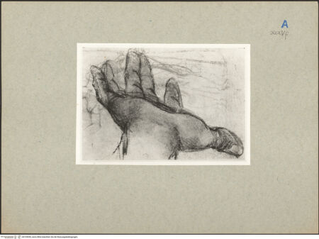 Vorderseite von bh105430_recto