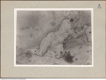 Vorderseite von bh105432_recto