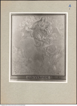 Vorderseite von bh105433_recto