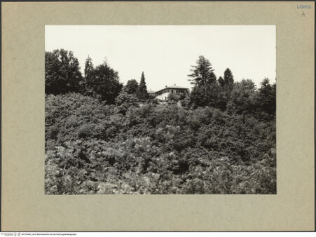 Vorderseite von bh105440_recto