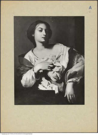 Vorderseite von bh105538_recto