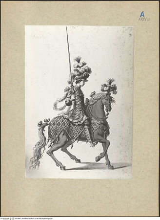 Vorderseite von bh105561_recto