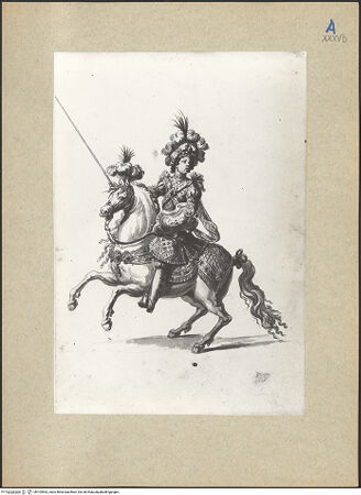 Vorderseite von bh105562_recto