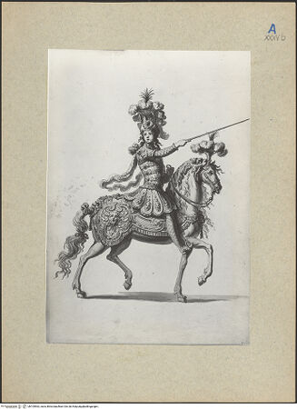 Vorderseite von bh105563_recto