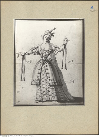 Vorderseite von bh105564_recto