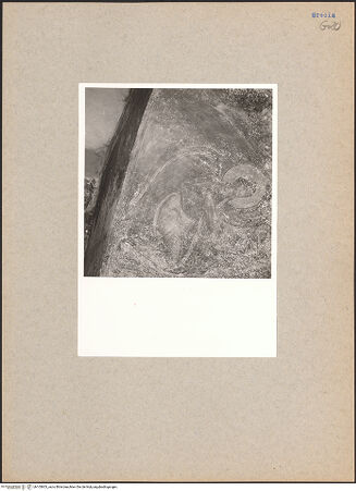 Vorderseite von bh105603_recto