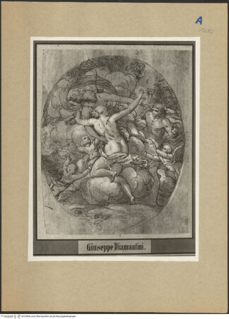 Vorderseite von bh105856_recto