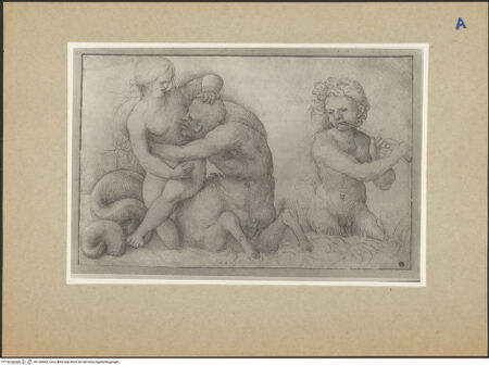 Vorderseite von bh105862_recto