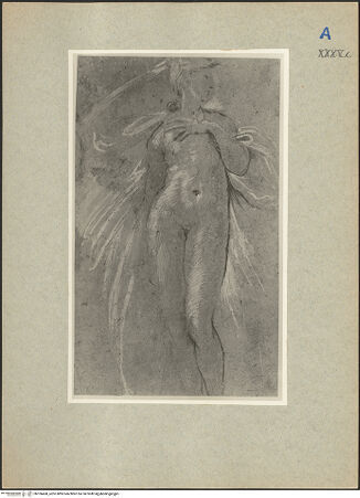 Vorderseite von bh106468_recto