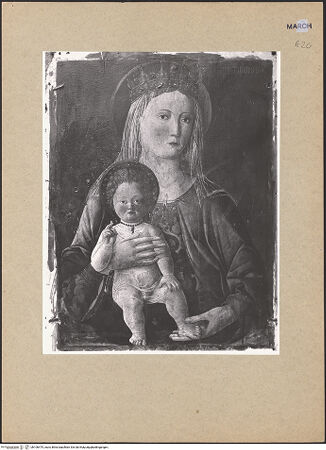 Vorderseite von bh106475_recto