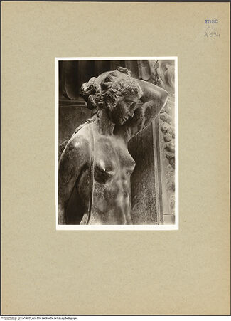 Vorderseite von bh106535_recto