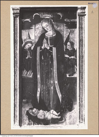 Vorderseite von bh106567_recto