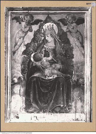 Vorderseite von bh106569_recto