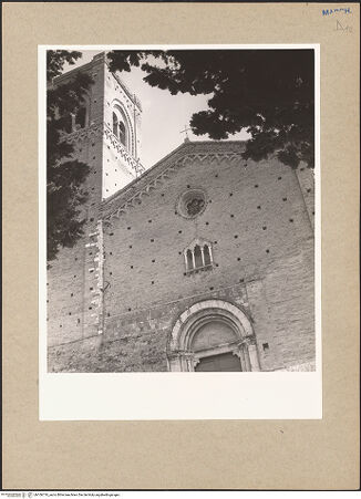 Vorderseite von bh106719_recto