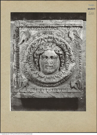 Vorderseite von bh106879_recto