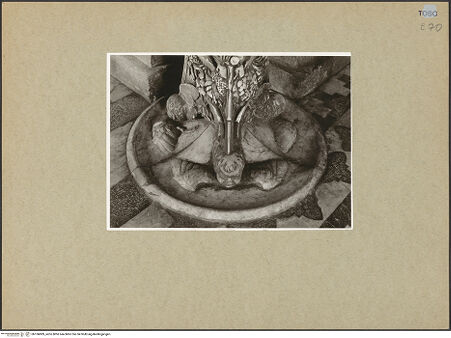 Vorderseite von bh106889_recto