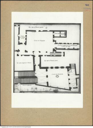 Vorderseite von bh106974_recto