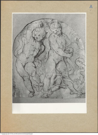 Vorderseite von bh107266_recto