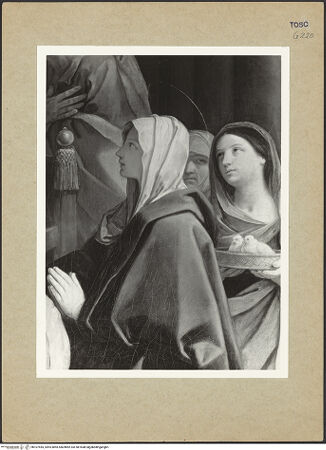 Vorderseite von bh107455_recto