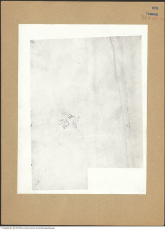 Vorderseite von bh107924_recto