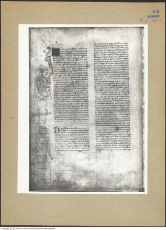 Vorderseite von bh107931_recto