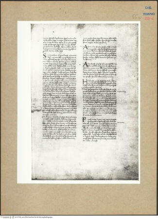 Vorderseite von bh107950_recto