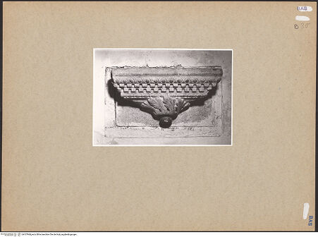 Vorderseite von Willemsen, Carl Arnold [https://www.deutsche-digitale-bibliothek.de/content/lizenzen/rv-fz/] KonsolenBlätterkonsole (Obergeschoss, Westflügel, N33) - Frontalansicht, bh107964_recto. Foto: Willemsen, Carl Arnold.