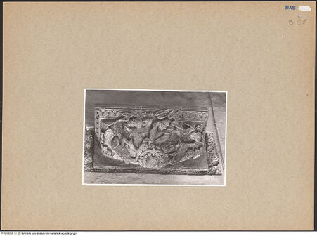 Vorderseite von Willemsen, Carl Arnold [https://www.deutsche-digitale-bibliothek.de/content/lizenzen/rv-fz/] KonsolenKonsole mit Pflanzen (Weinrebe) und Tieren (Ebern)  (Obergeschoss, Westflügel, N32) - Frontalansicht, bh107965_recto. Foto: Willemsen, Carl Arnold.