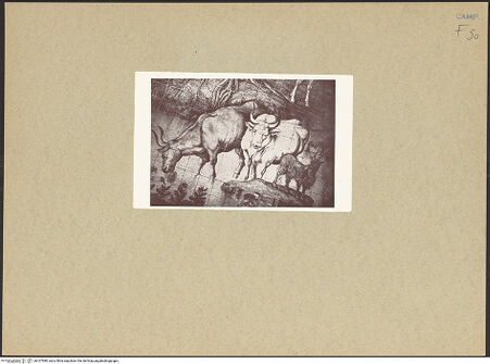 Vorderseite von Giannini, Francesco (Napoli) [https://www.deutsche-digitale-bibliothek.de/content/lizenzen/rv-ez/] Paradies und Sündenfall - Detail, bh107980_recto. Foto: Giannini, Francesco.