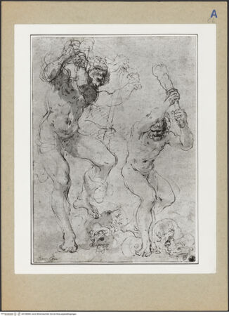 Vorderseite von bh108008_recto