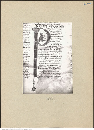 Vorderseite von bh108246_recto