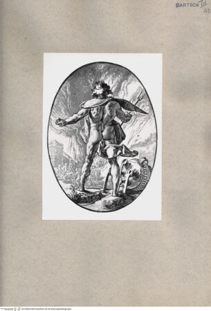 Vorderseite von  [http://creativecommons.org/publicdomain/mark/1.0/] Pluto - , bh108684. Foto.