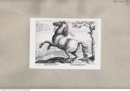 Vorderseite von  [http://creativecommons.org/publicdomain/mark/1.0/] Aufbäumendes Pferd vor Aussicht auf eine Stadt - , bh108694. Foto.