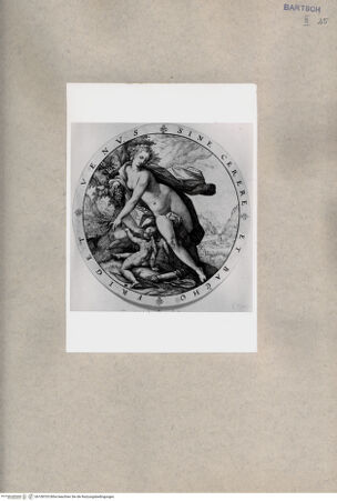 Vorderseite von  [http://creativecommons.org/publicdomain/mark/1.0/] Venus - , bh108703. Foto.