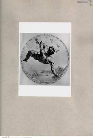 Vorderseite von  [http://creativecommons.org/publicdomain/mark/1.0/] Phaethon - , bh108704. Foto.