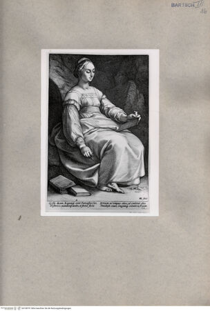 Vorderseite von  [http://creativecommons.org/publicdomain/mark/1.0/] Clio - , bh108791. Foto.