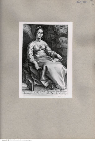 Vorderseite von  [http://creativecommons.org/publicdomain/mark/1.0/] Melpomene - , bh108792. Foto.