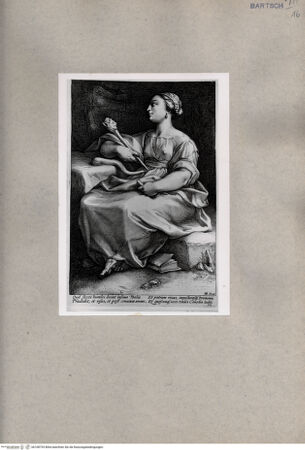 Vorderseite von  [http://creativecommons.org/publicdomain/mark/1.0/] Thalia - , bh108793. Foto.