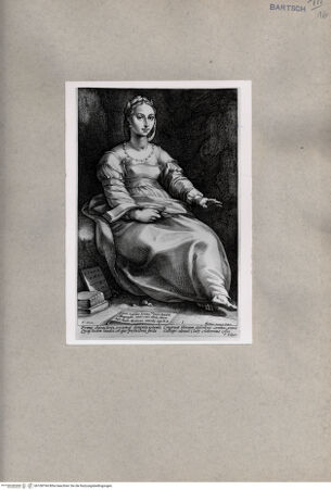 Vorderseite von  [http://creativecommons.org/publicdomain/mark/1.0/] Calliope - , bh108794. Foto.