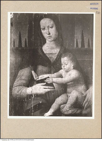 Vorderseite von bh108887_recto