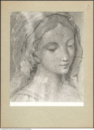 Vorderseite von bh108899_recto