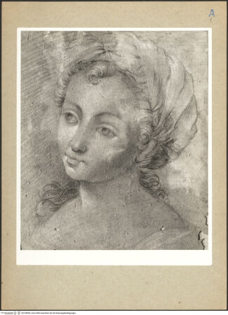 Vorderseite von bh108900_recto