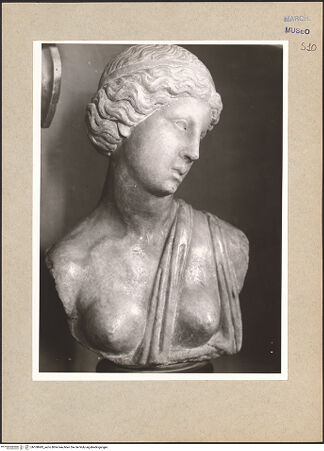 Vorderseite von bh108943_recto