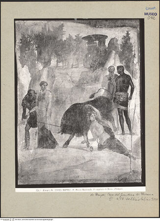 Vorderseite von Alinari [https://www.deutsche-digitale-bibliothek.de/content/lizenzen/rv-ez/] Amphion und Zethus rächen ihre Mutter, indem sie Dirce an die Hörner eines Stiers binden - Gesamtansicht, bh109387_recto. Foto.