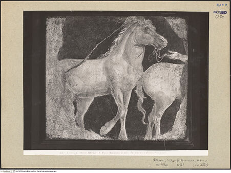 Vorderseite von Alinari [https://www.deutsche-digitale-bibliothek.de/content/lizenzen/rv-ez/] Pferde - Gesamtansicht, bh109393_recto. Foto.