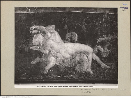 Vorderseite von Alinari [https://www.deutsche-digitale-bibliothek.de/content/lizenzen/rv-ez/] Nereide und Panther - Gesamtansicht, bh109409_recto. Foto.