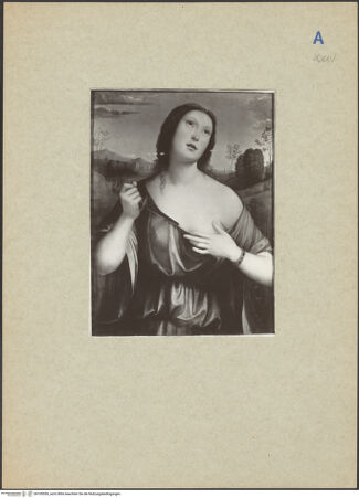 Vorderseite von bh109559_recto