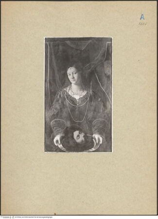 Vorderseite von bh109564_recto